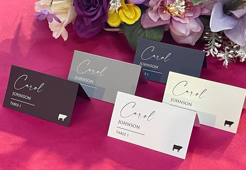 PRINTED Place Cards With Custom Fonts and Colors, Custom Place Cards