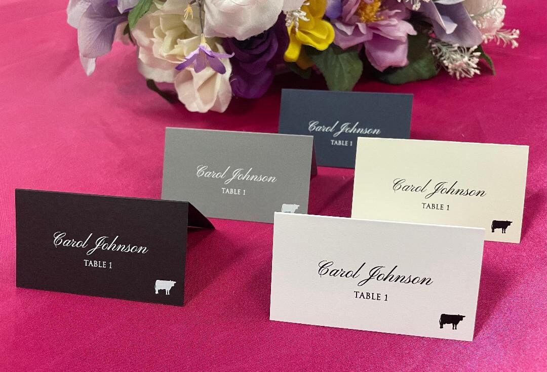 PRINTED Place Cards With Custom Fonts and Colors, Custom Place Cards