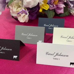 PRINTED Place Cards with Custom Fonts and Colors, Custom Place Cards, Wedding Guest Name Cards, Free Meal Icons, Simple and Classic Wedding