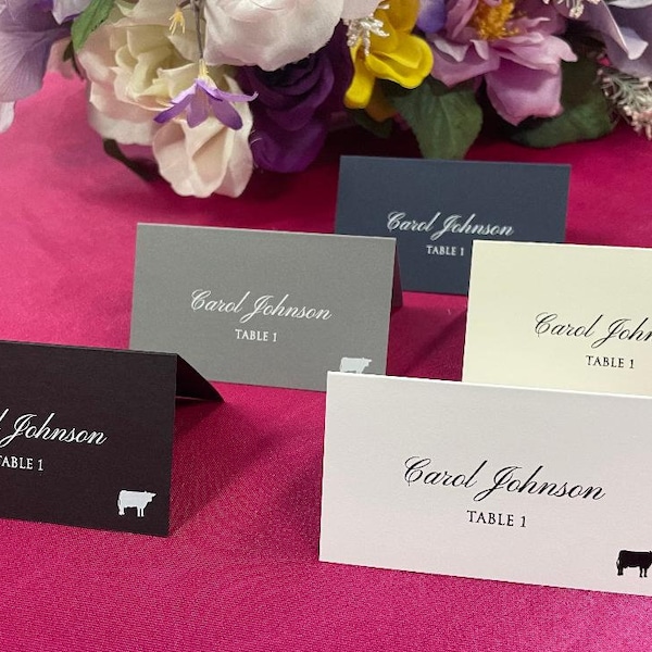 PRINTED Place Cards with Custom Fonts and Colors, Custom Place Cards, Wedding Guest Name Cards, Free Meal Icons, Simple and Classic Wedding