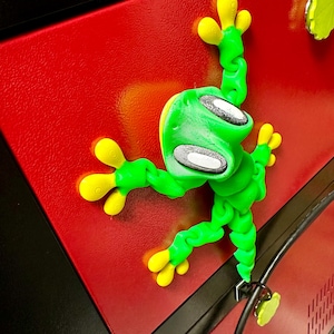 May include: A green and yellow frog-shaped toy is attached to a red surface. The toy is made of a flexible material and has a textured surface.