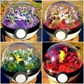 Pokemon Terrarium Extra Large / Espeon / Pokeball / Diorama / Gift / Leafeon / Sylveon / Birthday / Christmas / Flareon / Art / Anime / Love