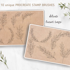Procreate Stamp Brushes | 10 Lineart Stamps | Botanical Stamps for ...