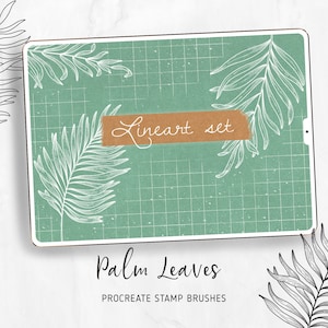 Procreate Briefmarken, botanische Palmblätter. Tropische S.-Set. Lineart - DIY, 6 Designs. Umriss Floral Pinsel Stempel für iPad Pro. Elegante Lineart