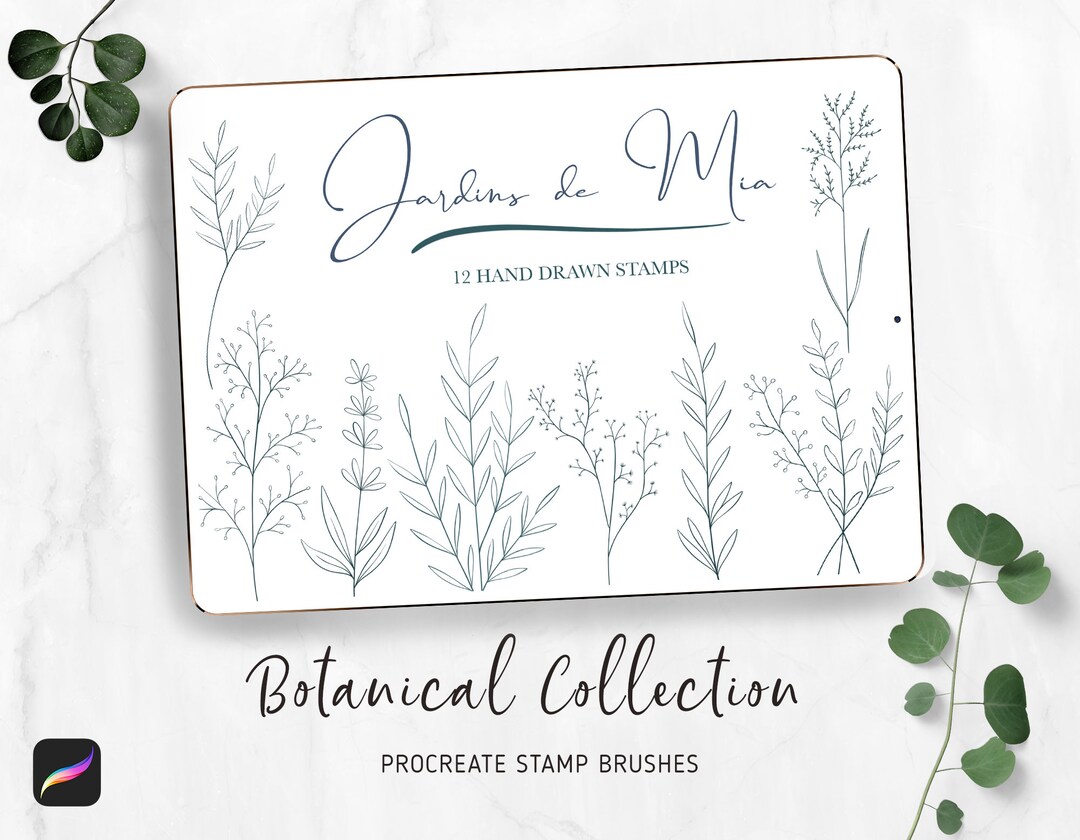 Procreate Stamp Brushes, Delicate Botanical Elements. Digital Brushes ...