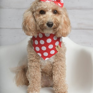 Dog Bandana, Red Polka Dog Bandana, Snaps Dog Bandana, Cat Bandana, Tie on Dog Bandana, Red Dog Bandana, Over the Collar Dog Bandana image 1