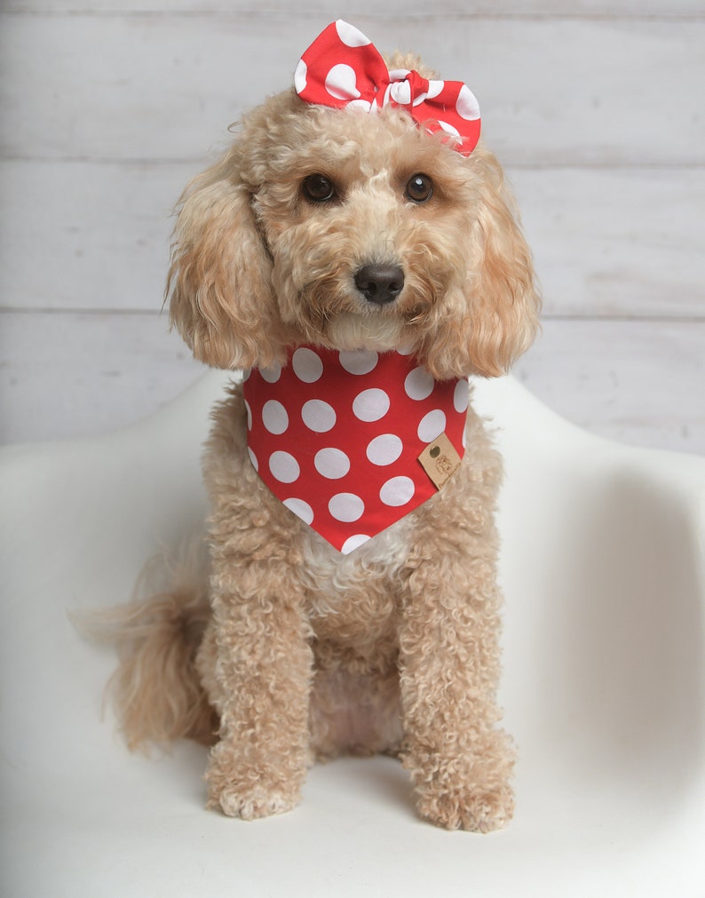 Dog Bandana, Red Polka Dog Bandana, Snaps Dog Bandana, Cat Bandana, Tie on Dog Bandana, Red Dog Bandana, Over the Collar Dog Bandana image 1