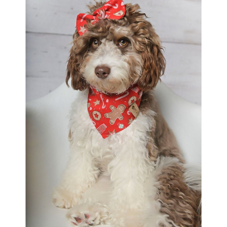 Christmas Dog Bandana, Gingerbread Dog Bandana, Christmas Dog