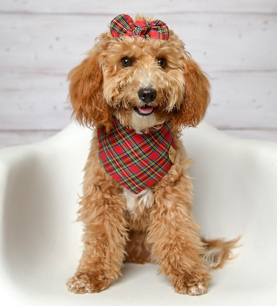 Dog Bandana Red Plaid Bandana Cat Bandana Snaps Dog Bandana Dog Tie Bandana Christmas Bandana Over the Collar Bandana Etsy UK