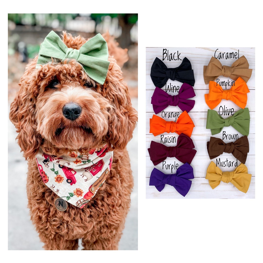 Dog Hair Bow, Pinwheel Dog Hair Clip, Dog Bows, Hair Clip for Dogs