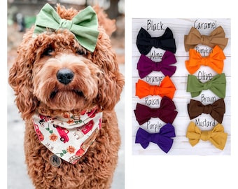 Dog Hair Bow, Pinwheel Dog Hair Clip, Dog Bows, Hair Clip for Dogs, Hair Bow for Dogs, Clip Bows, Hair Bows