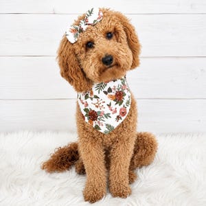 May include: A golden-brown curly-haired dog wearing a white bandana and a matching hair bow. Both accessories feature a floral pattern with dark red, orange, and green leaves and flowers. The dog has dark eyes and a black nose, sitting upright.