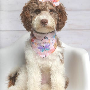 Dog Bandanas, Sweet Butterfly Dog Bandana, Tie on Dog Bandana, Cat Bandana, Snap on Bandanas, Over the Collar Bandana, Stylish dog scarf