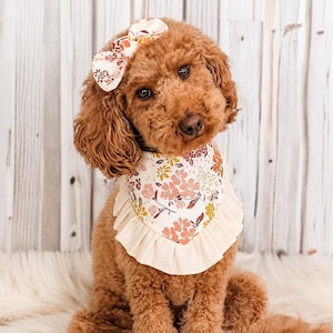 May include: A fluffy brown dog wearing a cream-colored fabric bandana with a floral pattern in shades of pink, orange, and brown, featuring a ruffled edge. The dog also wears a matching fabric bow accessory on its head with the same floral print.