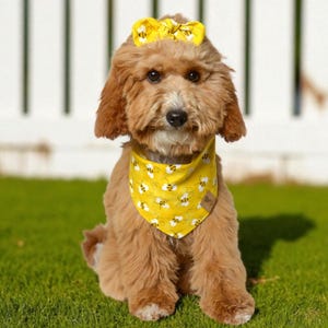 Dog Bandana, Bees Bandana, Tie on Dog Bandana, Cat Bandana, Fabric Bandana, Yellow Dog Bandana, Over the Collar Bandana