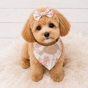 May include: A light brown poodle wearing a triangular pet bandana and a matching hair bow. Both accessories feature a patchwork design with floral patterns in shades of pink, green, and cream, set against a light-colored background.