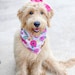 see more listings in the Floral Dog Bandanas section