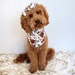 see more listings in the Floral Dog Bandanas section