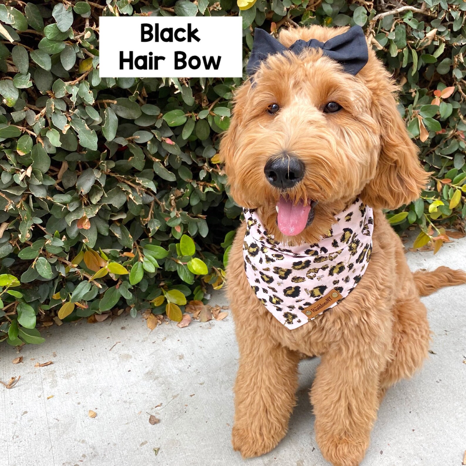 Dog Hair Bow Bowknot Dog Hair Bows Dog Hair Clip Dog Bows Etsy