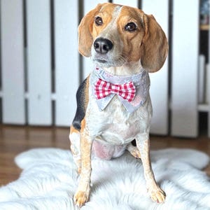 Dog Bow Tie, Dog Tuxedo Collar for Wedding, Formal Dog Collar with Bowtie, Dog Ring Bearer Clothes, Pet Wedding Outfit, Dog Bow Tie Collar
