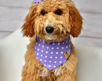 Dog Bandana, Lavender Dot Dog Bandana, Snaps Dog Bandana, Cat Bandana, Tie on Dog Bandana, Polka Dot Bandana, Over the Collar Dog Bandana