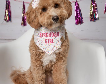 Personalized Birthday Dog Bandana Girl, Girl Dog Birthday Bandana, Tie on Dog Bandana, Snap on Dog Bandana, Over the Collar Bandana