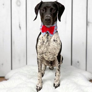 Dog Bow Tie Collar, Dog Tuxedo Collar for boys, Dog Formal Collar, Dog Ring Bearer Bow Tie, Wedding Dog Clothes, Dog Mama Gift, Dog Bowtie