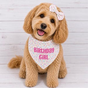 May include: A golden-colored dog wearing a white bandana with a colorful confetti pattern and the pink text "BIRTHDAY GIRL" printed on the front, along with a matching white confetti-patterned bow attached to the top of its head.