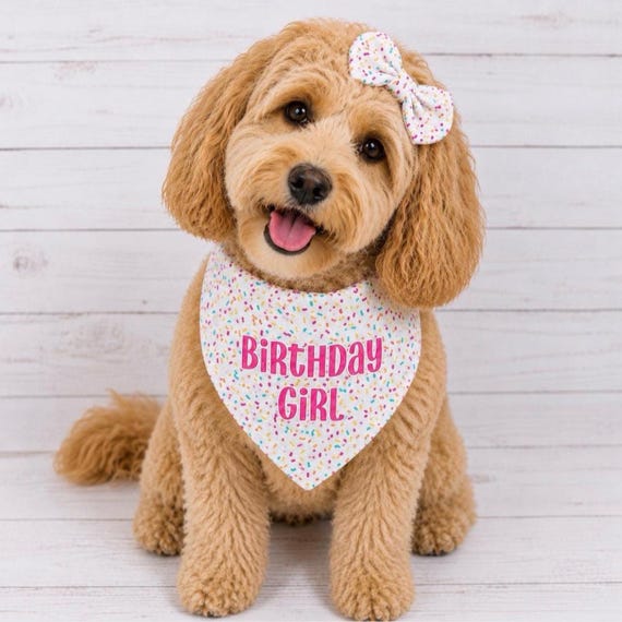 Personalized Birthday Dog Bandana, Girl Dog Birthday Bandana, Tie on Dog Bandana, Snap on Dog Bandana, Over the Collar Bandana,Puppy Gift