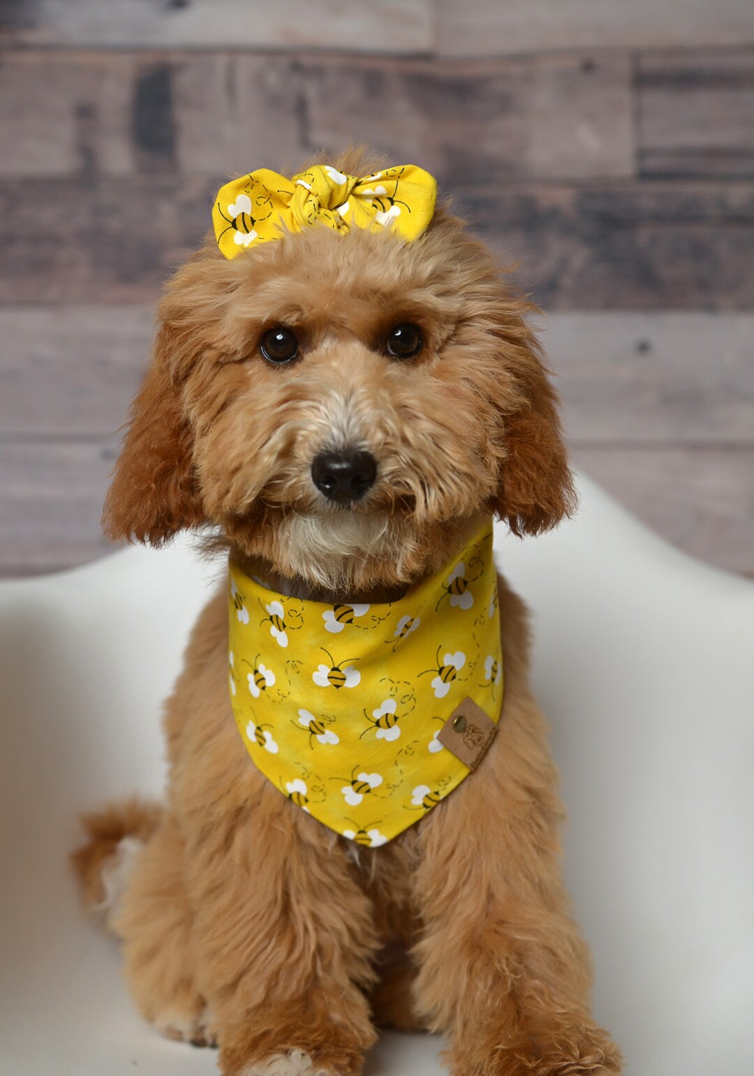 Dog Bandana, Bees Bandana, Tie on Dog Bandana, Cat Bandana, Fabric