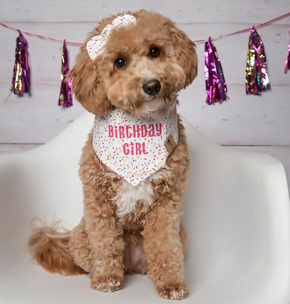 Birthday girl dog sale bandana