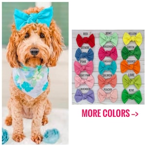 Colorful Dog Hair Bow, Fun Pet Accessory for Birthdays, Photos and Holidays, Alligator Clip or Barrette