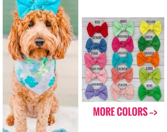 Colorful Dog Hair Bow, Fun Pet Accessory for Birthdays, Photos and Holidays, Alligator Clip or Barrette