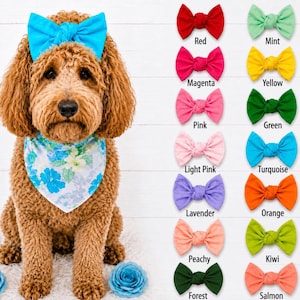 Colorful Dog Hair Bow, Fun Pet Accessory for Birthdays, Photos and Holidays, Alligator Clip or Barrette