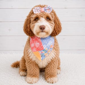 Peut inclure: Un chien au pelage bouclé brun doré portant un bandana à motifs variés et un nœud assorti sur la tête. Le bandana présente des sections en patchwork avec des motifs floraux corail, bleu clair façon dentelle et des rayures jaunes.