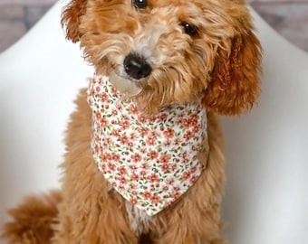 May include: A light brown, curly-haired dog wearing a white bandana with a small pink and green floral pattern. The dog also has a matching fabric bow attached to the top of its head, featuring the same floral print on a white background.