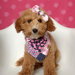 May include: A small, light brown dog wearing a pink and blue floral bandana and a pink bow. The dog is sitting on a white surface with a pink polka dot background.