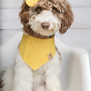 Dog Bandana, Yellow Polka Dot Dog Bandana, Snaps Dog Bandana, Cat Bandana, Tie on Dog Bandana, Yellow Bandana, Over the Collar Dog Bandana