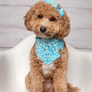 Floral Dog Bandanas,  Turquoise Flowers Dog Bandana, Tie Dog Bandana, Cat Bandana, Snap On Bandana, Over the Collar Bandana