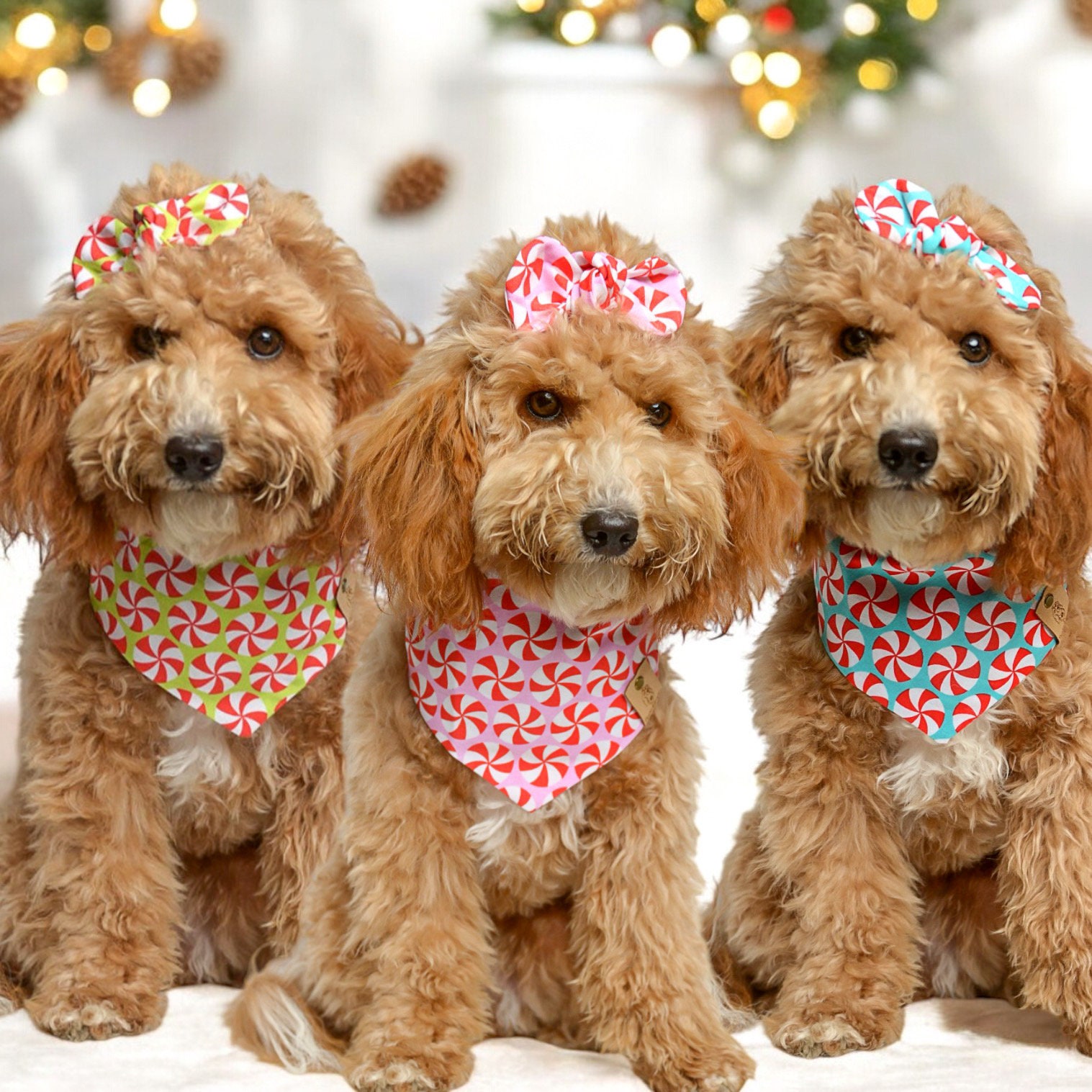 Peppermint Dog Bandana, Christmas Dog Bandana, Christmas Dog Accessories, Snap on Dog Bandana, Tie on Dog Bandana, Over Collar Bandana