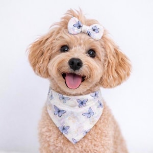 Butterfly Dog Bandana,  Spring Pup Scarf, Tie On or Snap On Pet Accessory