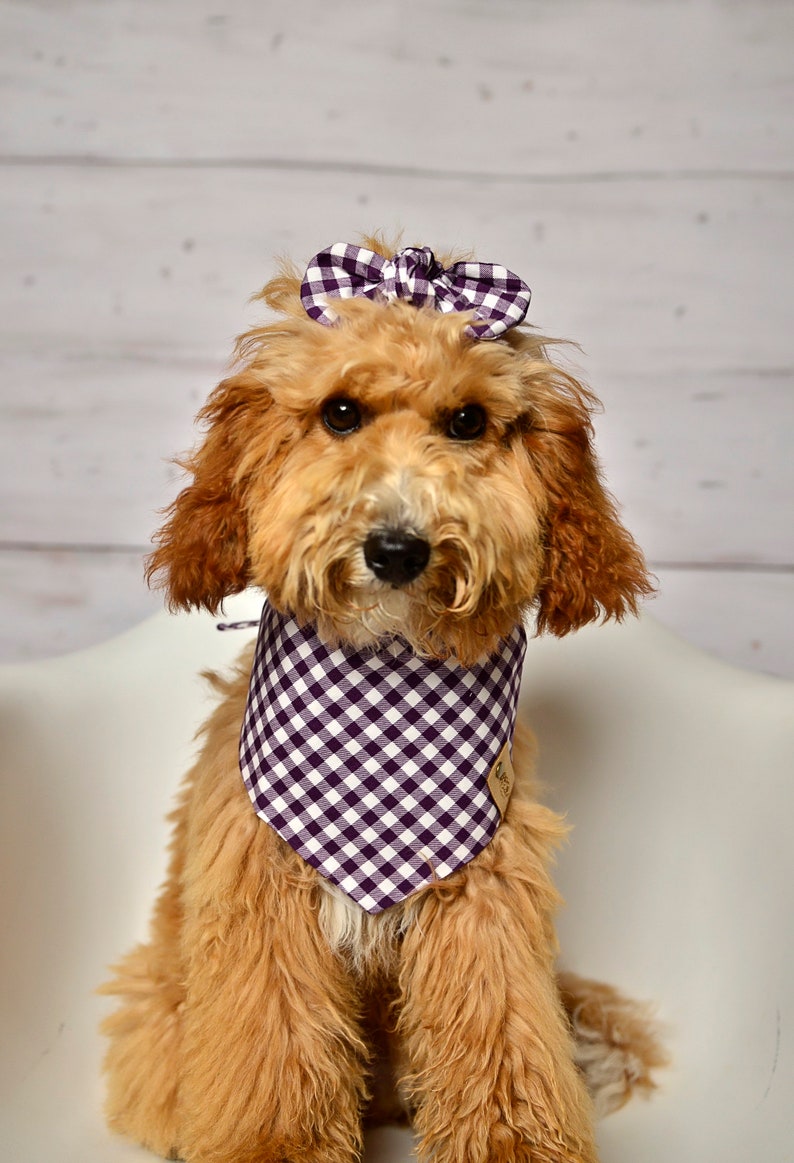 Dog Bandanas, Gingham Check Raisin Dog Bandana, Tie Dog Bandana, Snap On Bandana, Over the Collar Bandana, Plum Color Plaid Dog Bandana image 1