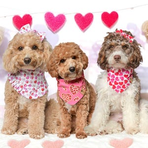 Valentine Dog Bandanas, Tie on Dog Bandana, Snap On Bandana, Over the Collar Bandana, dog bandana for small dogs, dog bandana for large dogs