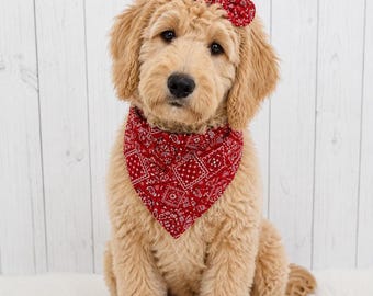 Rode hondenbandana, rode paisley hondenbandana, gepersonaliseerde hondenbandana, hondenbandana om vast te knopen, puppybandana, handgemaakte hondensjaal, cadeau voor hondenmoeder