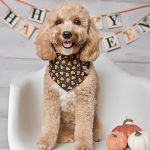 Candy Corn Halloween Dog Bandana,  Fall Dog Accessory, Halloween Pet Scarf or Costume Alternative, Puppy Halloween Bandana, Dog Mom Gift