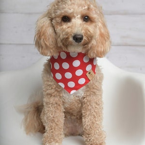 Dog Bandana, Red Polka Dog Bandana, Snaps Dog Bandana, Cat Bandana, Tie on Dog Bandana, Red Dog Bandana, Over the Collar Dog Bandana image 2