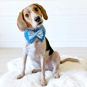 Dog Bow Tie Collar, Dog Tuxedo Collar for boys, Dog Formal Collar, Dog Ring Bearer Bow Tie, Wedding Dog Clothes, Dog Mama Gift, Dog Bowtie