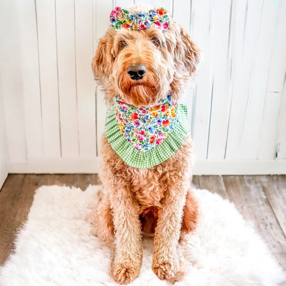 Floral dog bandana hotsell