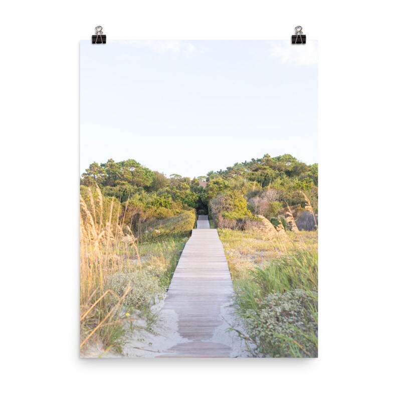 May include: A wooden walkway leads through a grassy area towards a line of trees in the distance. The walkway is made of light brown wood planks and is surrounded by tall green grasses and sand.