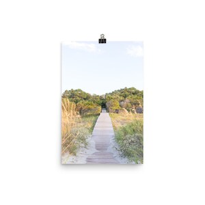 May include: A wooden walkway leads through tall grass and trees to a sandy beach. The path is lined with green foliage and the sky is a light blue.